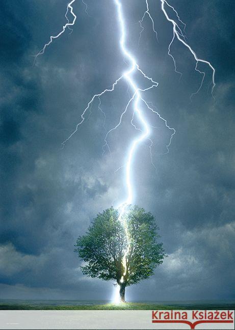Lightning Striking Tree 1000 Piece Puzzle Eurographics 0628136645706 Eurographics