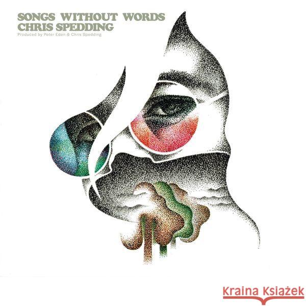 Songs Without Words, 1 Audio-CD (Remastered Edition) Spedding, Chris 5013929486348
