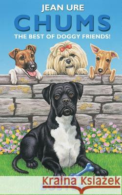 Buster (Chums) Jean Ure 9780006755098 HarperCollins Publishers