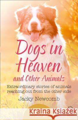 Dogs in Heaven: and Other Animals Jacky Newcomb 9780008105198 HARPER COLLINS PUBLISHERS