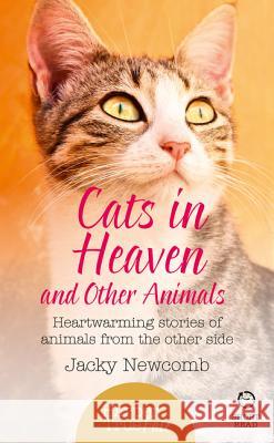 Cats in Heaven: And Other Animals. Heartwarming Stories of A Jacky Newcomb 9780008144470 Harper Collins Paperbacks