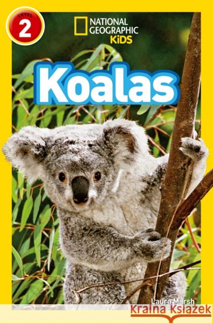 Koalas: Level 2 National Geographic Kids 9780008266646 HarperCollins Publishers