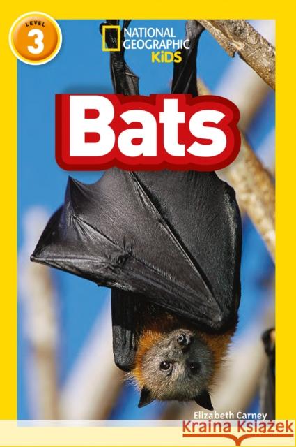 Bats: Level 3 National Geographic Kids 9780008266707