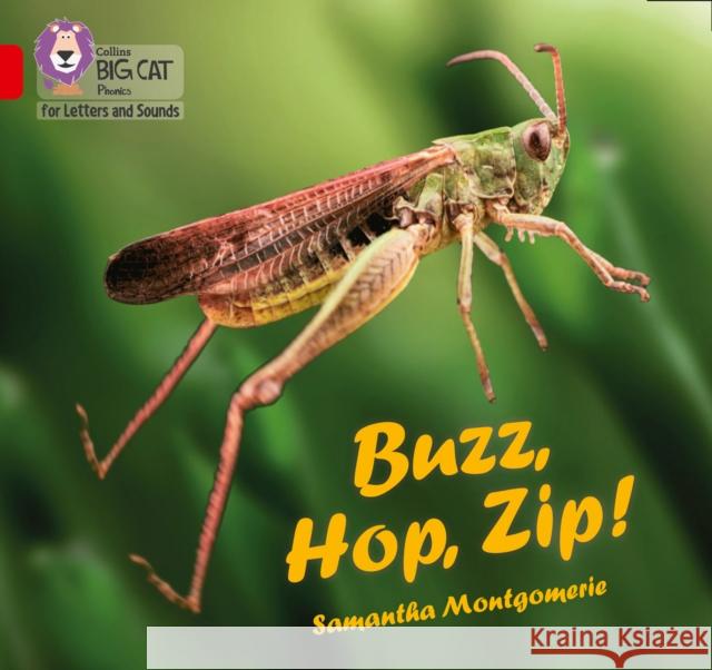Buzz, Hop, Zip!: Band 02a/Red a Samantha Montgomerie Collins Big Cat 9780008381233 Collins Publishers