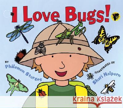 I Love Bugs! Philemon Sturges Shari Halpern 9780060561680 HarperCollins Publishers