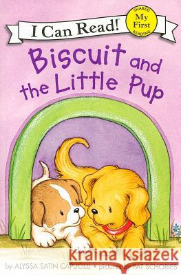 Biscuit and the Little Pup Pat Schories 9780060741723