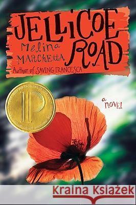 Jellicoe Road Melina Marchetta 9780061431852 Harper Teen