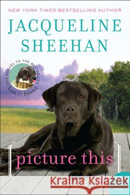 Picture This Jacqueline Sheehan 9780062008121