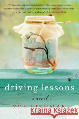 Driving Lessons Zoe Fishman 9780062059826