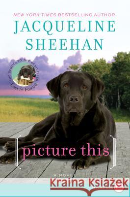 Picture This Jacqueline Sheehan 9780062107121