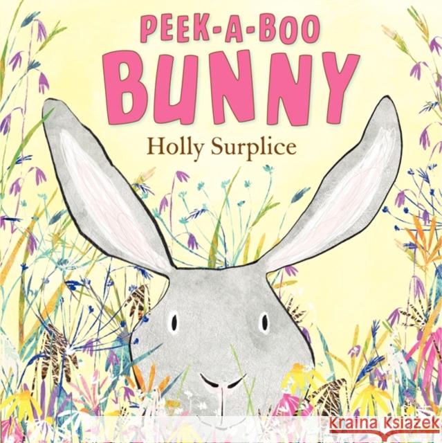Peek-A-Boo Bunny Holly Surplice Holly Surplice 9780062242655 HarperCollins