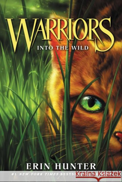 Warriors #1: Into the Wild Hunter, Erin 9780062366962
