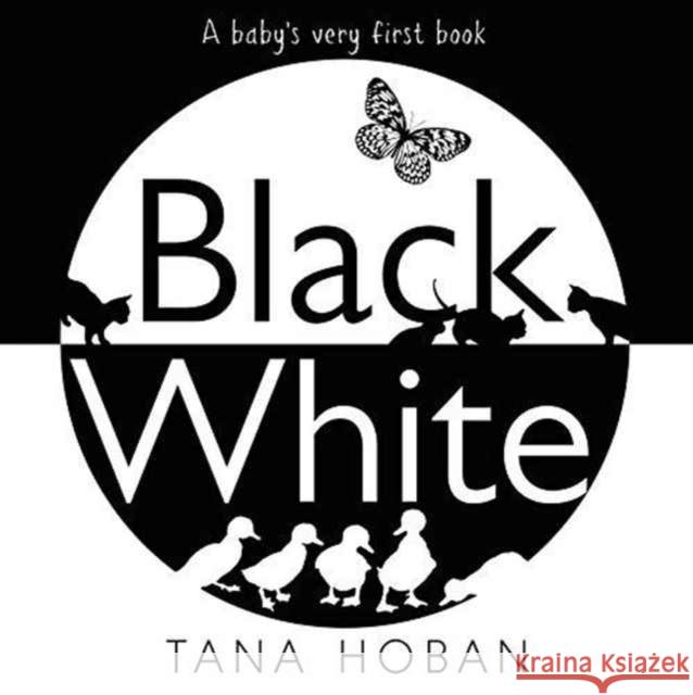 Black White: A High Contrast Book For Newborns Tana Hoban 9780062656902 HarperCollins Publishers Inc