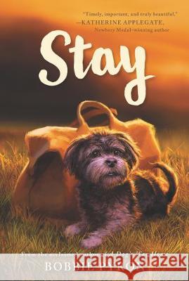 Stay Bobbie Pyron 9780062839237 Katherine Tegen Books