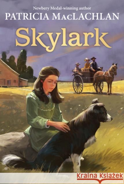 Skylark Patricia MacLachlan 9780064406222 HarperTrophy