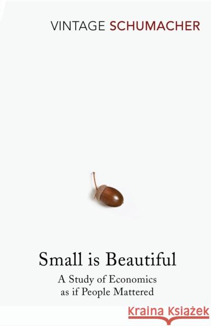 Small Is Beautiful: A Study of Economics as if People Mattered E F Schumacher 9780099225614 Vintage Publishing