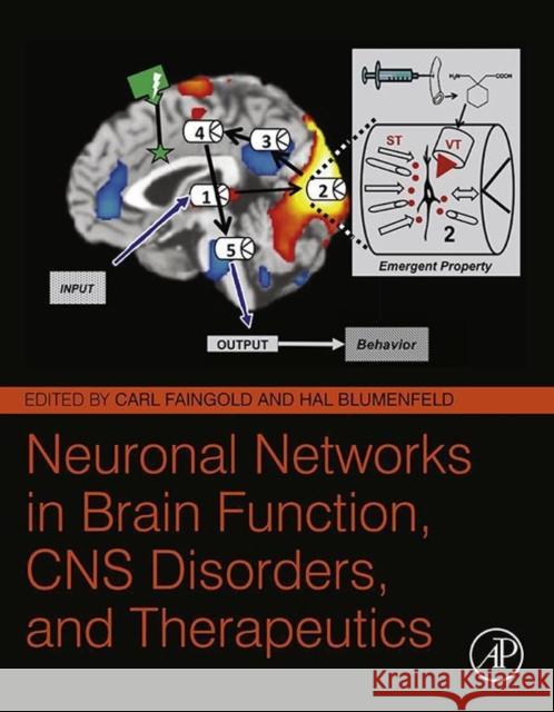 Neuronal Networks in Brain Function, CNS Disorders, and Therapeutics Carl Faingold Hal Blumenfeld 9780124158047 Academic Press