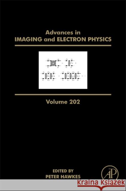 Advances in Imaging and Electron Physics: Volume 202 Hawkes, Peter W. 9780128120880