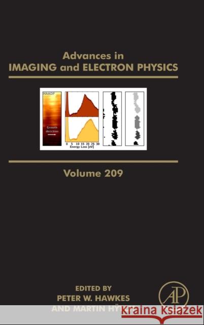 Advances in Imaging and Electron Physics: Volume 209 Hawkes, Peter W. 9780128171776