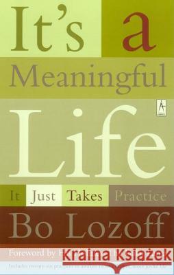 It's a Meaningful Life: It Just Takes Practice Bo Lozoff Dalai Lama 9780140196245 Penguin Books