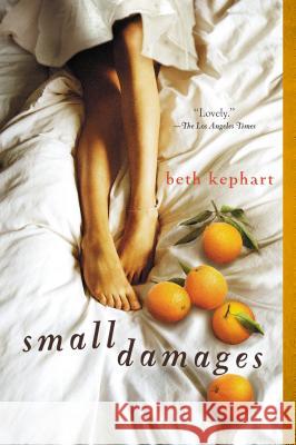 Small Damages Beth Kephart 9780142426418 0