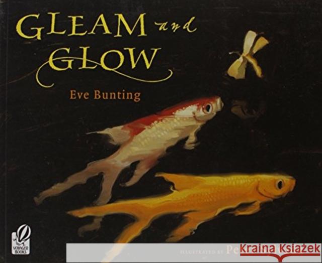 Gleam and Glow Eve Bunting Peter Sylvada 9780152053802 Voyager Books