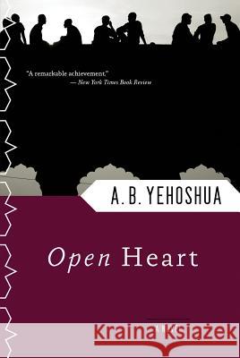 Open Heart Abraham B. Yehoshua Dalya Bilu 9780156004848 Harvest Books