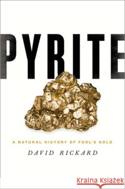 Pyrite: A Natural History of Fool's Gold David Rickard 9780190203672 Oxford University Press, USA