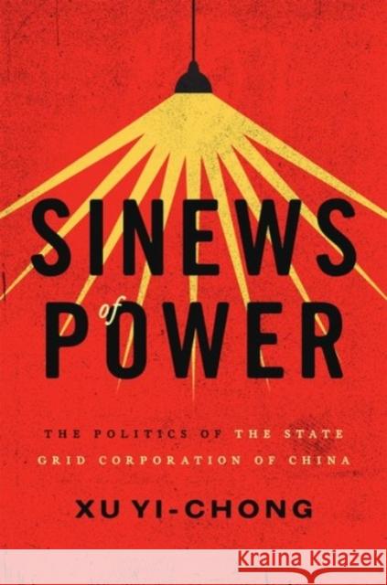 Sinews of Power: The Politics of the State Grid Corporation of China Yi-Chong Xu 9780190279523 Oxford University Press, USA