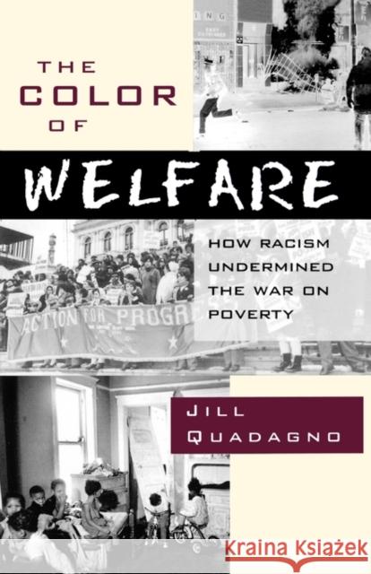 The Color of Welfare: How Racism Undermined the War on Poverty Quadagno, Jill 9780195101225 Oxford University Press