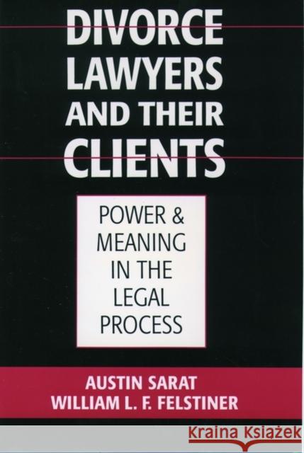Divorce Lawyers and Their Clients: Power and Meaning in the Legal Process Sarat, Austin 9780195117998 Oxford University Press