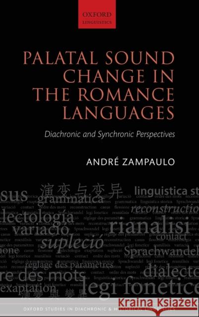 Palatal Sound Change in the Romance Languages: Synchronic and Diachronic Perspectives Andre Zampaulo 9780198807384 Oxford University Press, USA