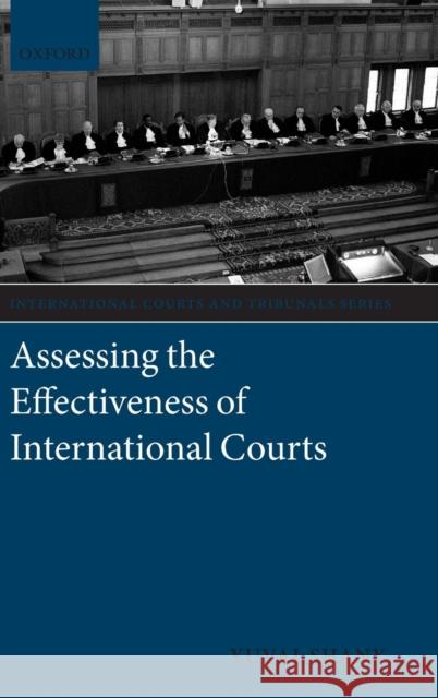 Assessing the Effectiveness of International Courts Yuval Shany 9780199643295