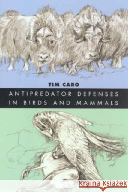 Antipredator Defenses in Birds and Mammals Tim Caro T. M. Caro Sheila Girling 9780226094366 University of Chicago Press