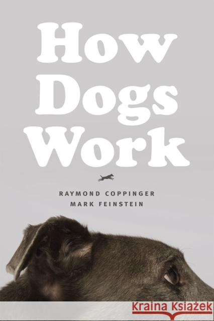 How Dogs Work Raymond Coppinger Mark Feinstein 9780226128139 University of Chicago Press