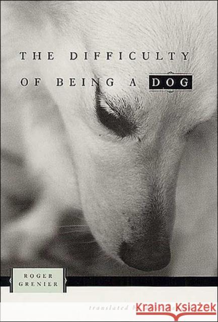 The Difficulty of Being a Dog Roger Grenier Alice Kaplan University of Chicago Press 9780226308289