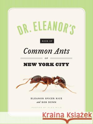 Dr. Eleanor's Book of Common Ants of New York City Eleanor Spice Alex Wild Rob Dunn 9780226351674 University of Chicago Press