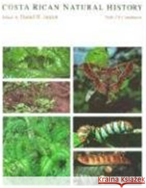 Costa Rican Natural History Daniel H. Janzen 9780226393346 University of Chicago Press