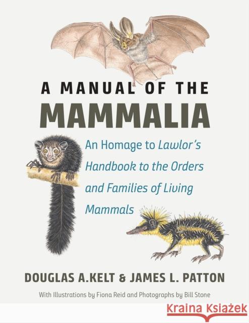 A Manual of the Mammalia: An Homage to Lawlor's 