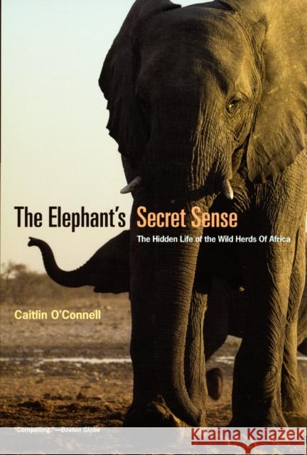 The Elephant`s Secret Sense – The Hidden Life of the Wild Herds of Africa Caitlin O`connell 9780226616742 The University of Chicago Press