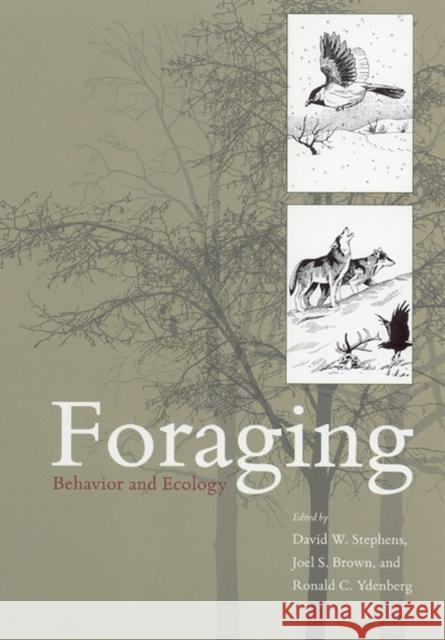 Foraging: Behavior and Ecology Stephens, David W. 9780226772646 University of Chicago Press