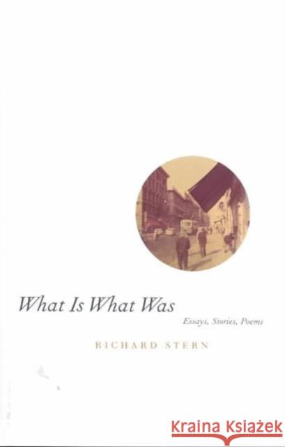 What Is What Was University of Chicago Press              Richard G. Stern 9780226773261 University of Chicago Press