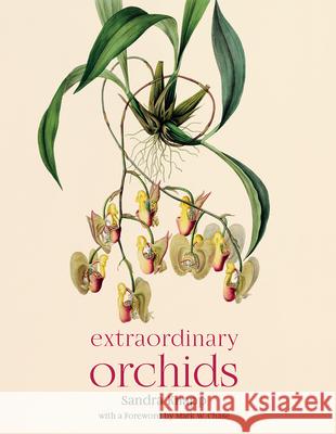 Extraordinary Orchids Sandra Knapp Mark W. Chase 9780226779676 University of Chicago Press