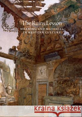 The Ruins Lesson: Meaning and Material in Western Culture Susan Stewart 9780226792200