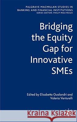 Bridging the Equity Gap for Innovative Smes Gualandri, E. 9780230205055 Palgrave MacMillan