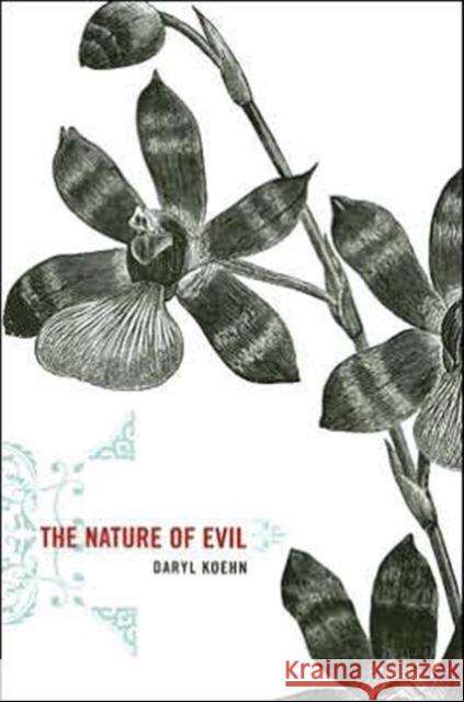 The Nature of Evil Daryl Koehn 9780230602298 Palgrave MacMillan