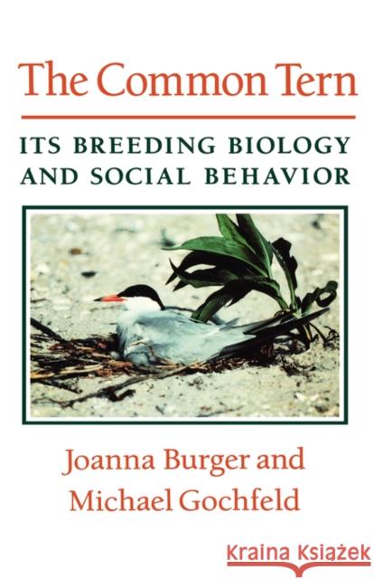 The Common Tern: Its Breeding Biology and Social Behavior Burger, Joanna 9780231075022