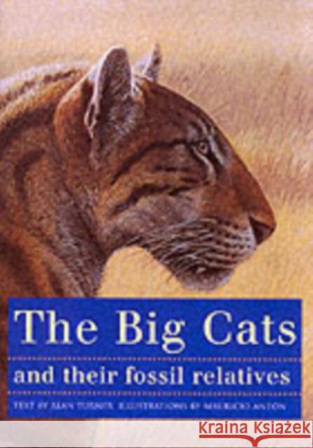 The Big Cats and Their Fossil Relatives: An Illustrated Guide to Their Evolution and Natural History Antón, Mauricio 9780231102292 Columbia University Press