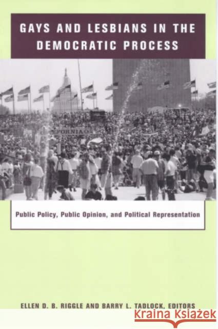 Gays and Lesbians in the Democratic Process: Public Policy, Public Opinion, and Political Representation Riggle, Ellen 9780231115858 Columbia University Press