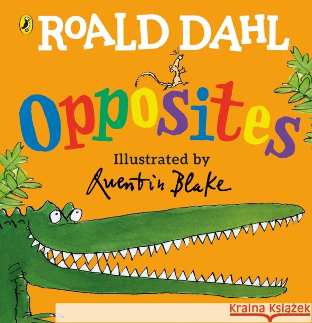 Roald Dahl's Opposites: (Lift-the-Flap) Roald Dahl 9780241330555